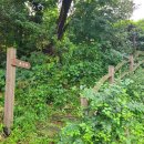 금당중학교 옆 이미지