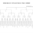 제79회 황금사자기 전국고교야구대회 이미지