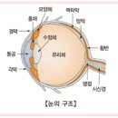 변호사김수아법률사무소