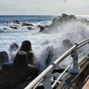 울진해양경찰서 이미지