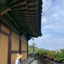 강릉 보현사 템플스테이 (체험형) 1박 2일