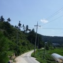 양지로3R 이미지