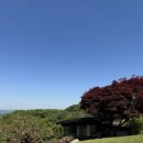 5 | 용인 아시아나CC 파3 라운딩 후기 5월 방문 후기🏌️‍♂️