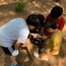 엄마청소년수련원 이미지