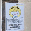 킨더퍼피 이미지