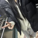 따뜻하개 이미지