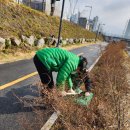 월운천변 잡초제거(해바라기 심기전) 이미지