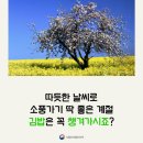 이야기김밥 이미지