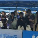 중앙미용학원 이미지