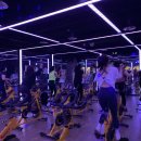 퍼시스트 피트니스 이미지