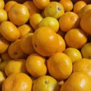 훈이농장 이미지