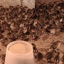 수안보농장 이미지