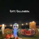 비행기나무 이미지