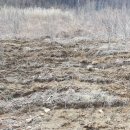 서화농장 이미지