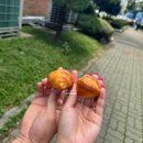 더크로와상 | 대연동 부경대 쪽문 디저트 맛집 더크로와상 포장 후기