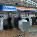 DE049 | 포르투갈 포르투 여행1(루프트한자항공 기내식, 에그타르트, 프란세지냐, 대구요리, 모루정원, 세하두...