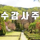 추수감사주일예배//주님께서 범사에 네게 총명을 주시리라//강윤희목사 이미지