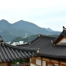 숲쟁이펜션 이미지