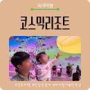 로드스타 | 경주 실내가볼만한곳 코스믹리조트｜아이랑 실내 테마파크 후기