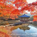 내장산국립공원화장실(제1주차장) 이미지