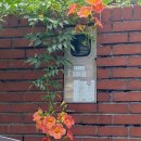 ABC코인노래연습장 이미지