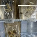 미다스펫 이미지