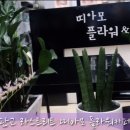 띠아모플라워&커피데이