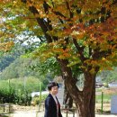 명호초등학교 이미지