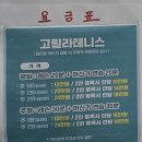 세종 테니스 레슨 솔직후기 초중급에게 추천하는 고릴라테니스