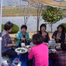 강진북초등학교 이미지