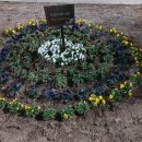 장자대로 이미지