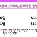 오렌지여행사 이미지