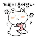 앨리스파파 이미지