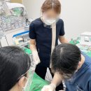 성남리더스치과의원 이미지