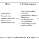 Re:Exercise-Induced Mitohormesis for the Maintenance of Skeletal Muscle and Healthspan Extension 이미지