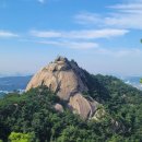 장미공원길 이미지