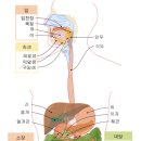 구조관계 이미지