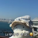 안녕정동진 이미지