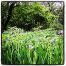 서운동산펜션 이미지