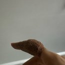 멍그라미 이미지