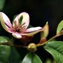 인화동-25 이미지