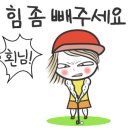 프랜즈 스크린(대가스크린) 네이버블로그
