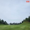 더블리앤리