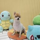 뽀 이미지