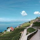 와인 인문학 이미지