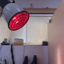 신정식한의원 이미지