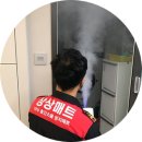 분당-387 이미지