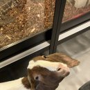 쥬닝카페 이미지