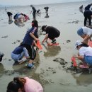 가족과 함께하는 문화체험(5월) 이미지