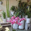 ABL 부산타워 이미지